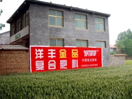 盐城如何让墙体广告展现最大化效果