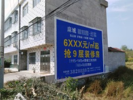 盐城墙体广告质量分析