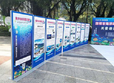 盐城KT板的种类和知识。